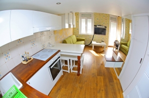 Apartment Branimir
